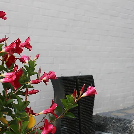 Bed and breakfast Amalie & Odense