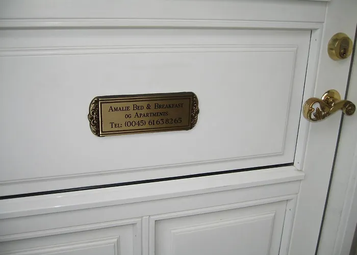 阿马里住宿加早餐公寓 欧登塞