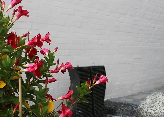 住宿加早餐酒店 阿马里住宿加早餐公寓 欧登塞